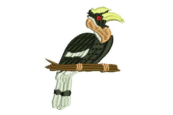 Hornbill Perched on a Branch: A Designer’s Review